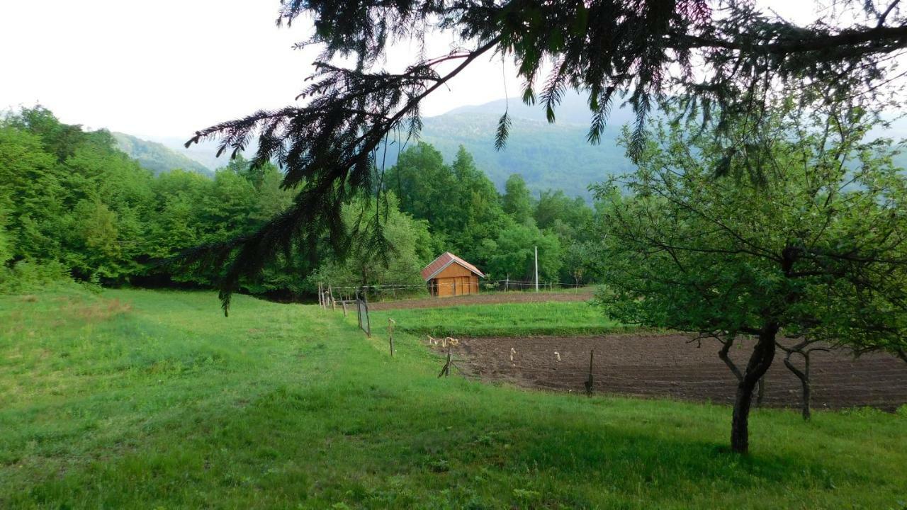 Robinzonski Turizam "Robin' S Hood" Skrad Екстериор снимка